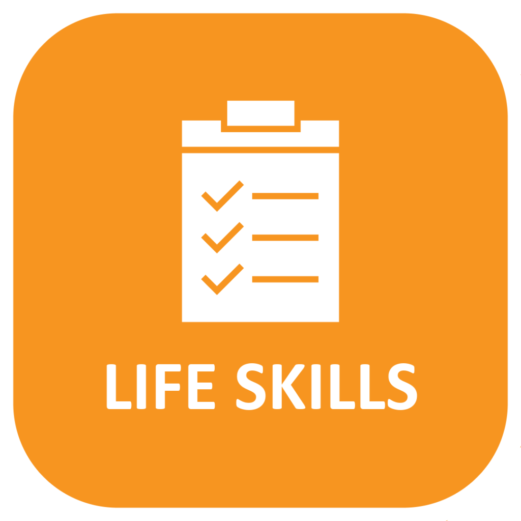 life skills checklist icon