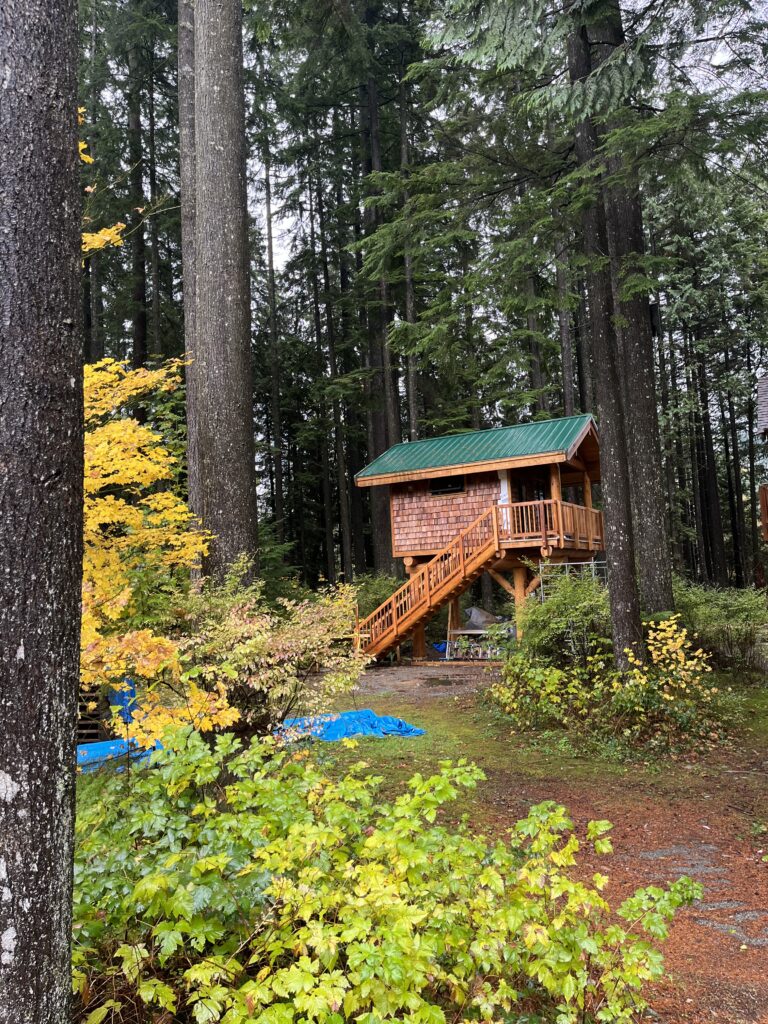 cozy wooden cabin in autumn forest