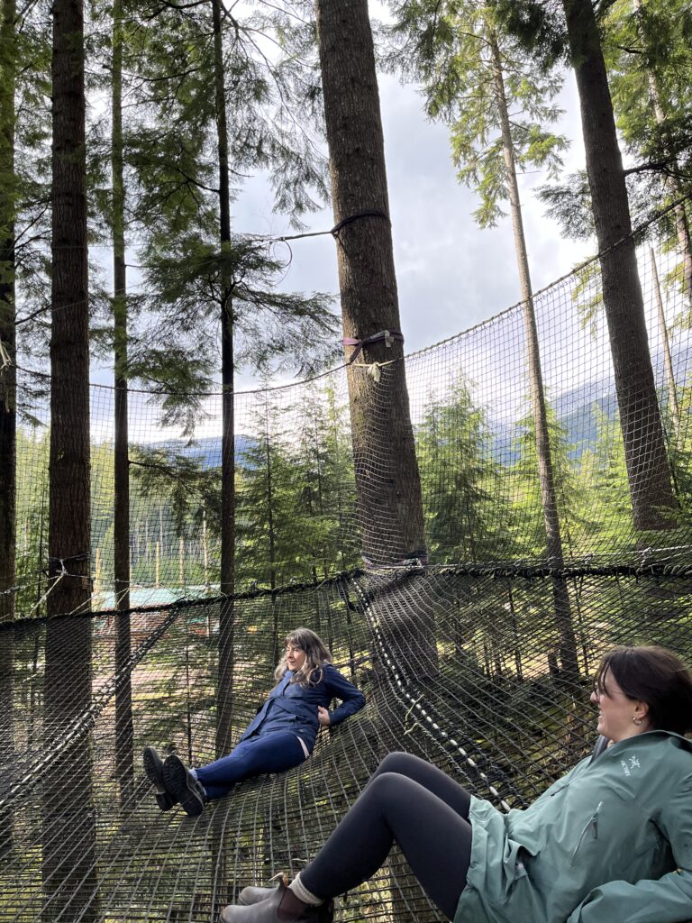 forest net relaxation lake